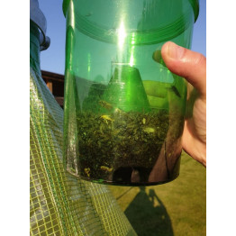 Ловушка для слепней H-Trap