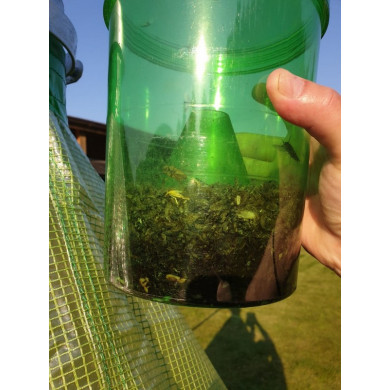 Ловушка для слепней H-Trap Ловушка для слепней H-Trap